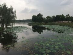 -东郊湿地公园