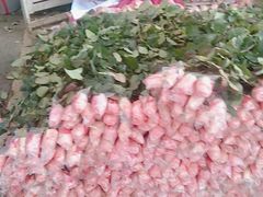 -三圣花乡旅游区