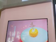 -狐狸和向日葵(北京路店)