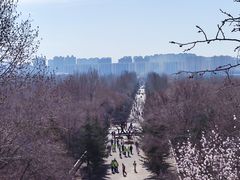 -乌素图国家森林公园