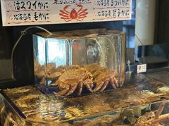 -蟹道乐(道顿堀本店)