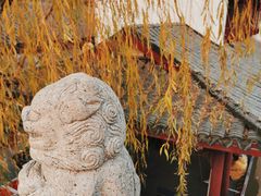 -召稼楼古镇