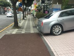 -宝健路步行街(Pedestrian Shopping Street)
