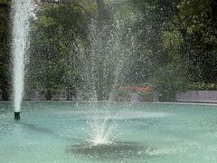 -九龙公园