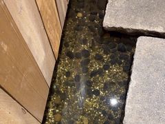 -邈墨茶馆(凤起路店)