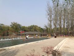 -东方巨龟苑景区