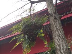 -南岳明心寺