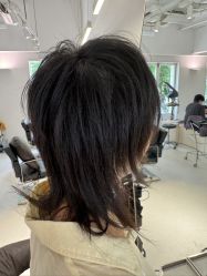 -SALON DE VANHADA