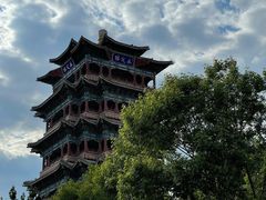 -永定河休闲森林公园