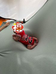 -西瓜庄园儿童摄影