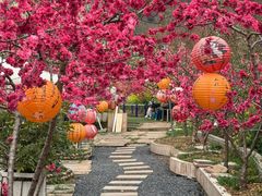 -桃源山庄·水蜜桃采摘·柴火鸡·烧烤团建(龙泉山店)