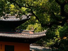 -普陀山风景名胜区-法雨禅寺