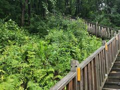 -帽儿山国家森林公园