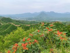 -蟠龙山长城景区