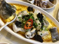 香葱芙蓉蒸鲈鱼-清心鸡沙田乳鸽店·非遗传承(石溪店)
