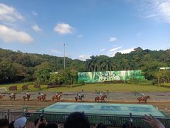 -深圳野生动物园
