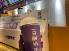 -一只酸奶牛(八一路店)