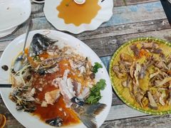 -东鸽皇(奥园·中环广场店)