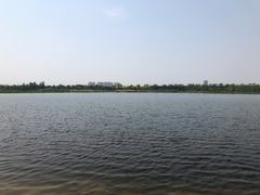 -绿堤公园