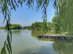 游乐设施-白塔湖国家湿地公园