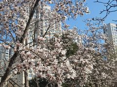 -白塘生态植物园