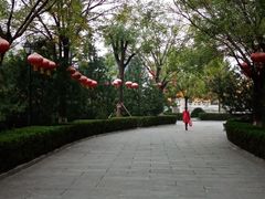 -大槐树寻根祭祖园