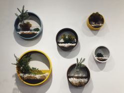 -兰瑜伽·普拉提