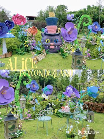 成都周边 | 跟我一起坠入爱丽丝神秘花园
