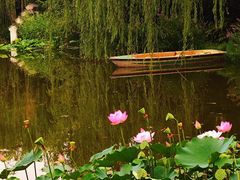 -郑州植物园