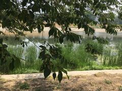 -北运河水利风景区