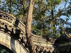 -秋霞圃