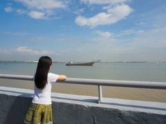 -大湾区中央湿地公园