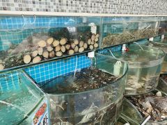-仙螺岛海鲜自助餐厅(总店)