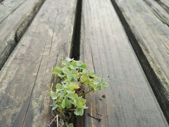 -千龙湖生态旅游度假区