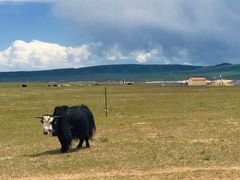-青海湖国家重点风景名胜区