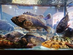 -开海·红岛海鲜虾水饺(石老人店)
