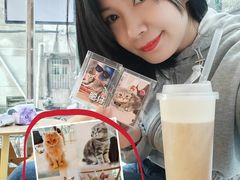 -猫咪派对(江南西店)