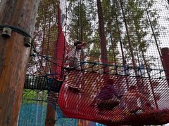 -黄海国家森林公园