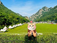 -大连天门山国家森林公园