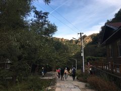 -大岭沟猕猴桃谷风景区