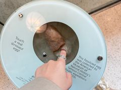 -美国自然历史博物馆