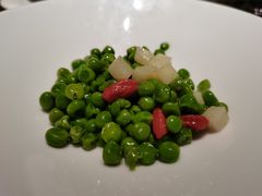 -觀芷隐轩