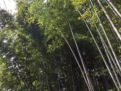 -包公祠
