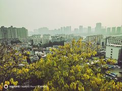 -福道