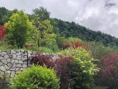 -古尔沟华美达温泉度假酒店