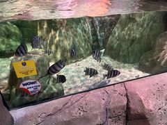 -沈阳海洋探索中心