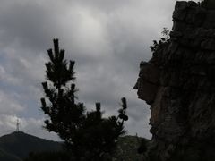 -金龙寺国家森林公园