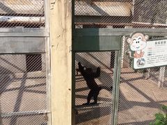 -合肥野生动物园