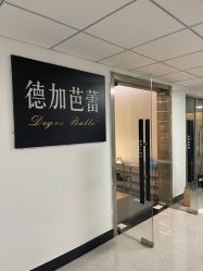 -德加芭蕾·舞蹈培训