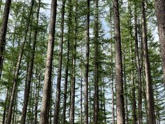 -洛阳白云山景区